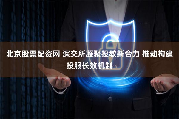 北京股票配资网 深交所凝聚投教新合力 推动构建投服长效机制