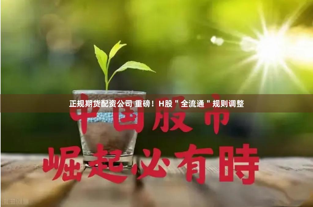 正规期货配资公司 重磅！H股＂全流通＂规则调整