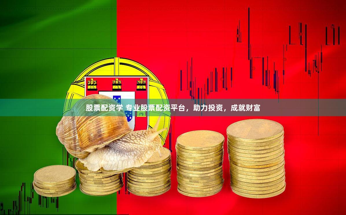股票配资学 专业股票配资平台，助力投资，成就财富
