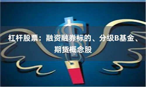 杠杆股票：融资融券标的、分级B基金、期货概念股